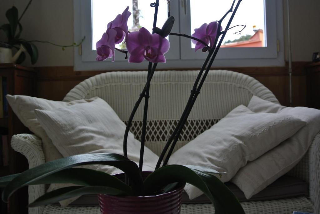 Tarcu Hotel Residence San Pieru חדר תמונה