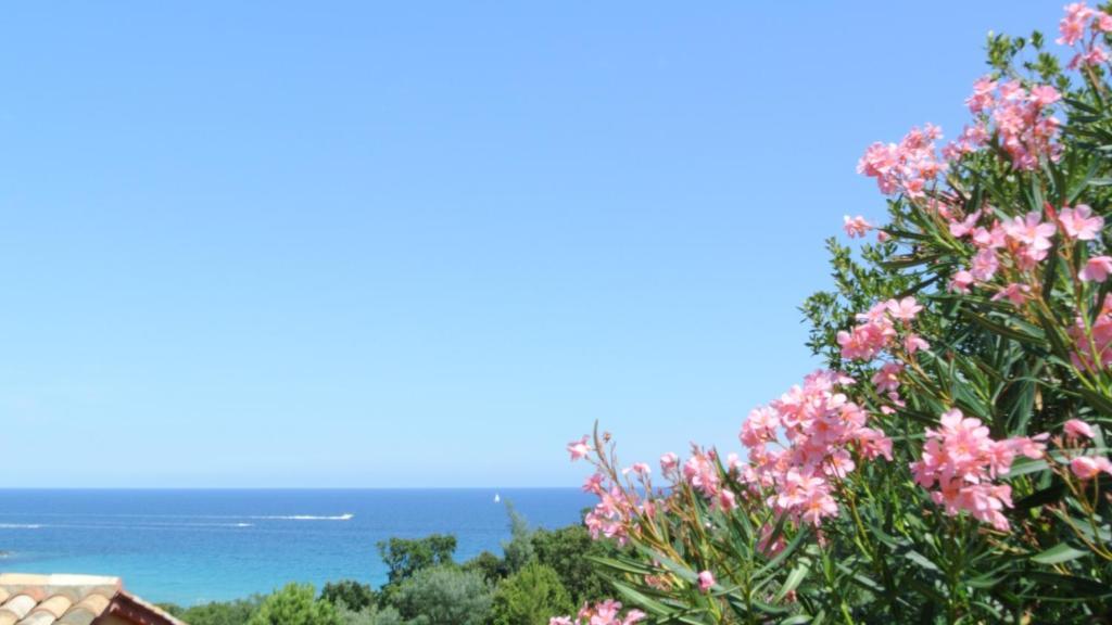 Tarcu Hotel Residence San Pieru חדר תמונה