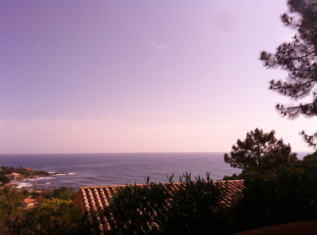 Tarcu Hotel Residence San Pieru מראה חיצוני תמונה